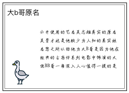 大b哥原名